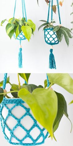 three macrame plant hangers with plants in them