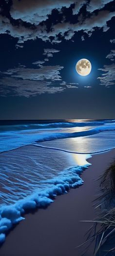 the moon is setting over the ocean with waves coming in to shore and grass on the beach