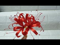 a hand holding a red flower with long, thin ribbons on it's center