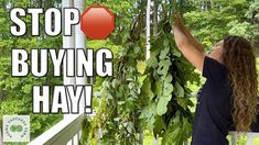 a woman is standing on a porch with her arms in the air as she holds up some plants