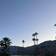 palm trees line the street in front of mountains and houses at dusk with a crescented moon