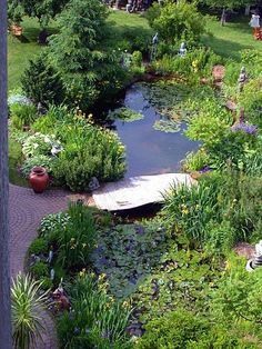 a pond surrounded by lots of plants and flowers