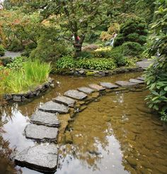 stepping stones lead up to a pond in a japanese garden with green plants and trees