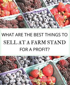 berries and strawberries in baskets with the words what are the best things to sell at a farm stand for a profits?