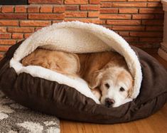 a dog is laying in his bed on the floor next to a brick wall and rug