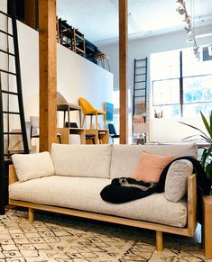 a living room with a white couch and wooden ladder in the corner, next to a potted plant