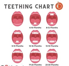 the different teeth and mouth shapes are shown in this graphic diagram, which shows how to tell