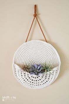 an air plant hanging from a rope on a wall with a white round basket holding two succulents