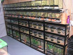 several shelves filled with plants in plastic containers