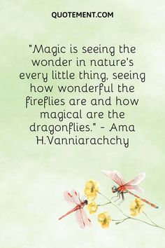 a quote from h vannatachy about magic being the wonder in nature's every little thing, seeing how wonderful the fireflies are and how magnificent are the dragonflies