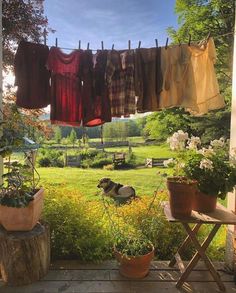 clothes hanging out to dry in the sun on a line over an open field with flowers