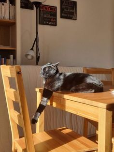 a black cat laying on top of a wooden table next to a book shelf in a living room