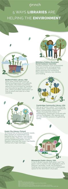 an info sheet describing the different types of plants and animals in their habitat, including bees