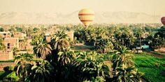 two hot air balloons flying over palm trees