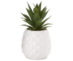 a pineapple plant in a white ceramic pot