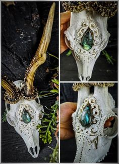 three pictures of the same animal skull with various details