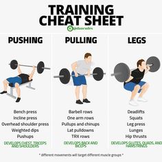 a diagram showing how to use the bench press