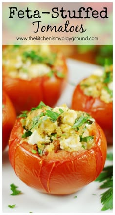 stuffed tomatoes with feta - stuffed tomatoes in the middle on a white plate and green garnish