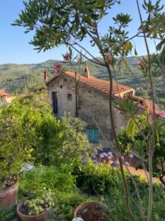 an old stone house surrounded by greenery and mountains in the distance, with potted plants on the foreground
