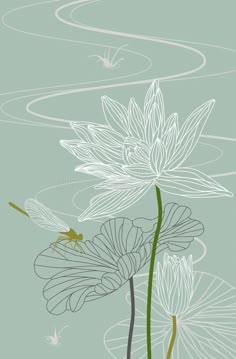 water lilies and a dragonfly in the pond royalty illustration