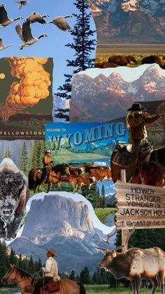 I love it Jackson Hole Wyoming Skiing, University Of Wyoming Aesthetic, Wyoming Ranch Aesthetic, Wyoming Wallpaper, Wyoming Aesthetic, Jackson Hole Wyoming Summer, Wildlife Aesthetic, Wyoming Camping, Wyoming Road Trip