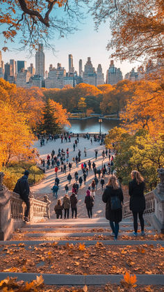 A scenic view of people walking down the steps towards Central Park, surrounded by vibrant autumn foliage, with the New York City skyline in the background under a clear blue sky. Central Park Nyc Autumn, Central Park In Autumn, City Adventure Aesthetic, Autumn In Central Park, Central Park In The Fall, Nyc In The Fall Aesthetic, City Autumn Aesthetic, Fall In New Jersey, Autumn In Boston