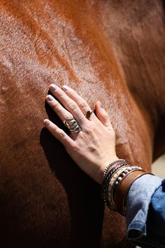 a woman's hand on the back of a brown horse