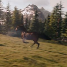 a horse is running in the grass near some trees