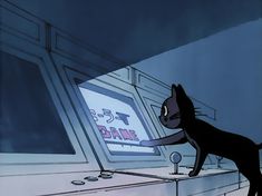 a black cat standing on top of a counter in front of a computer monitor screen