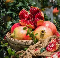 pomegranates in a wicker basket surrounded by leaves and burlocks