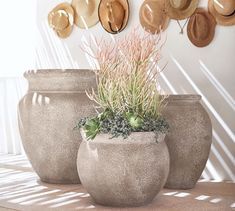 three cement pots with plants and hats on the wall