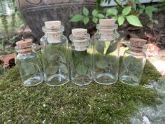 four glass bottles filled with green leaves on top of grass