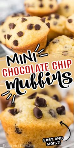 mini chocolate chip muffins with text overlay