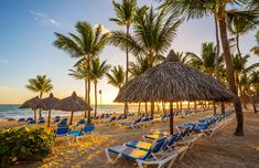 spring break Cheapest All Inclusive Resorts, Cheap Honeymoon Destinations, Punta Cana Travel, Dominican Republic Travel, Bachelorette Destinations, Tegucigalpa, Romantic Things To Do, All Inclusive Vacations