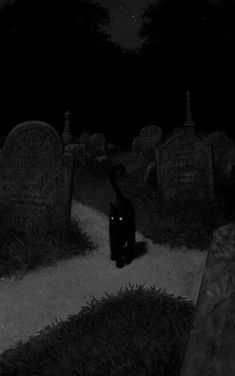 a man standing in the middle of a cemetery at night