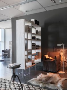 a living room filled with furniture and a fire place next to a wall mounted book shelf