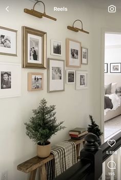 there are many pictures hanging on the wall in this living room, and one is holding a potted plant