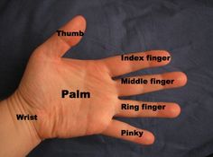 a person's hand with five fingers labeled in different languages, including palm, index finger, middle finger, ring finger, and pinky