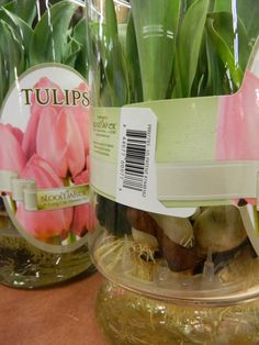 two vases with flowers in them sitting on a table