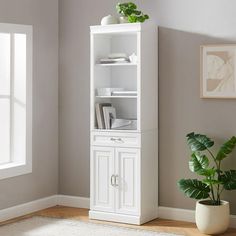 a white bookcase with doors and drawers next to a potted plant on the floor