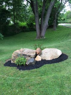 a rock garden in the middle of a grassy area