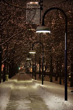 a snowy street lined with trees and lights