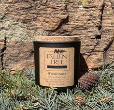 a candle sitting on top of a pine tree next to a stone wall and evergreen needles