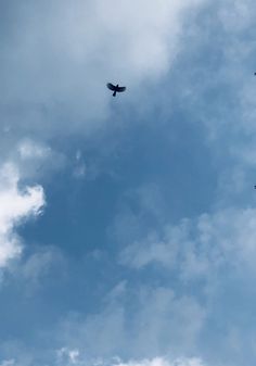 three birds flying in the sky on a cloudy day with blue skies and white clouds