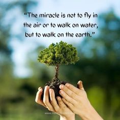 a person holding a small tree in their hands with a quote above it that says, the miracle is not to fly in the air or to walk on water, but to walk on the earth