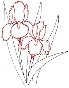 a drawing of some flowers on a white background with red lines in the middle and bottom