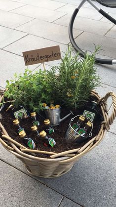 a basket filled with lots of plants on top of a sidewalk