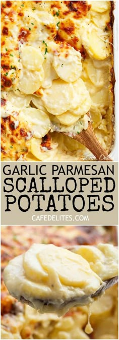 garlic parmesan scalloped potatoes on a spoon