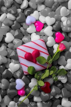 a single rose sitting on top of some white and pink rocks with hearts around it