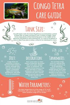 an info sheet describing the different types of fish and algaes that can be found in this